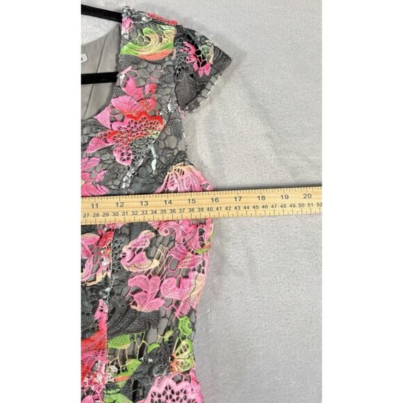 J. Peterman Pink Gray Lace Chromatic Dress Floral Medi Zip UP  Women’s Size 4 - Picture 3 of 11